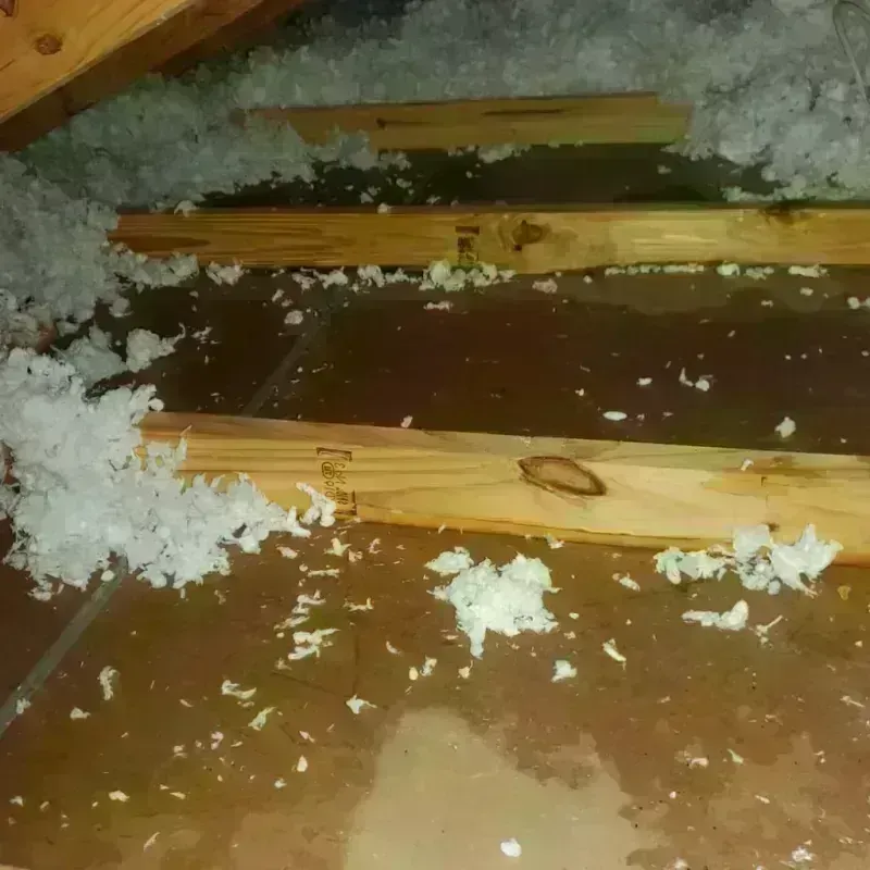 Attic Water Damage in Albertson, NY