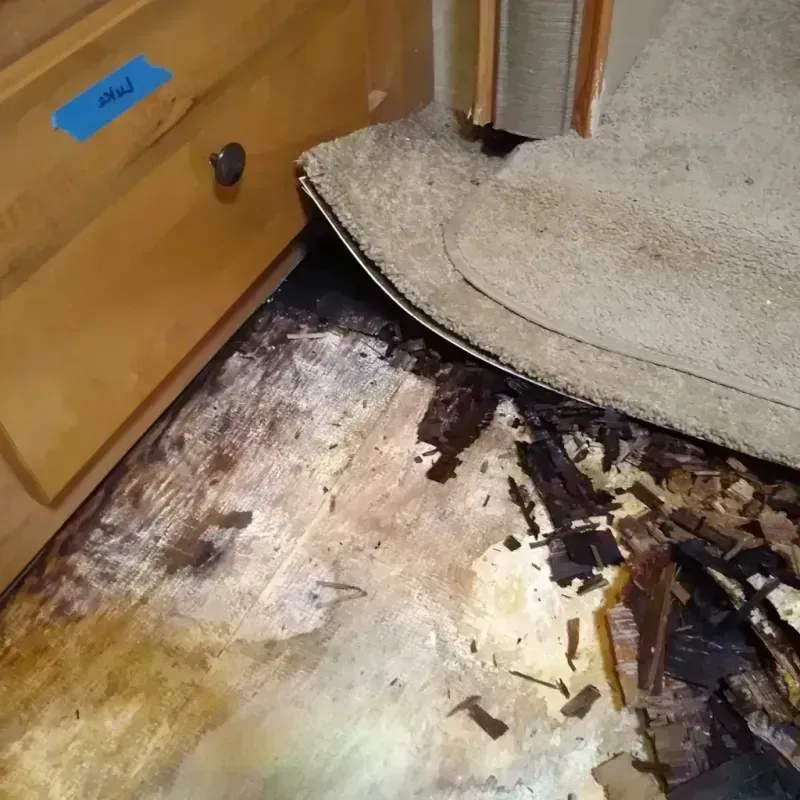 Wood Floor Water Damage in Albertson, NY